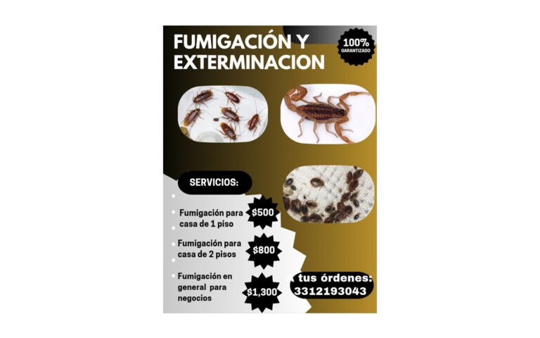 Fumigaciones 768x480