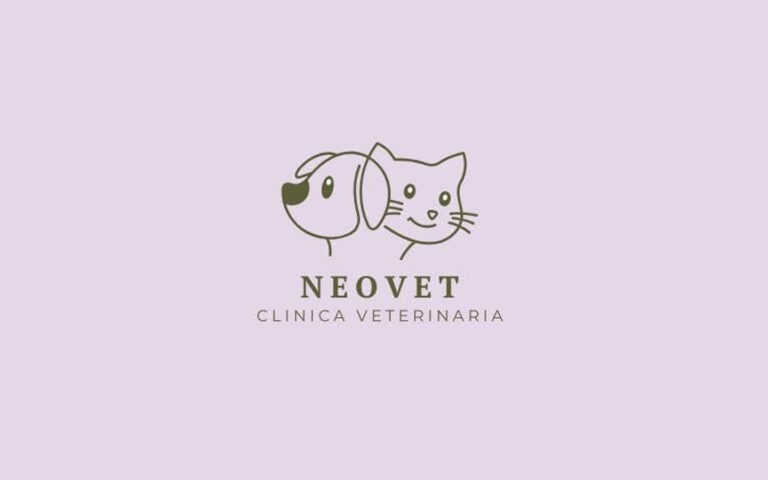 neovet 768x480