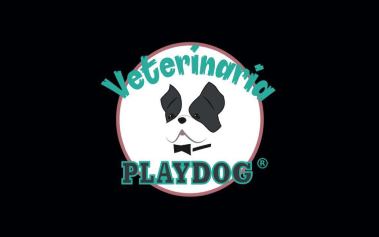 playdog 768x480