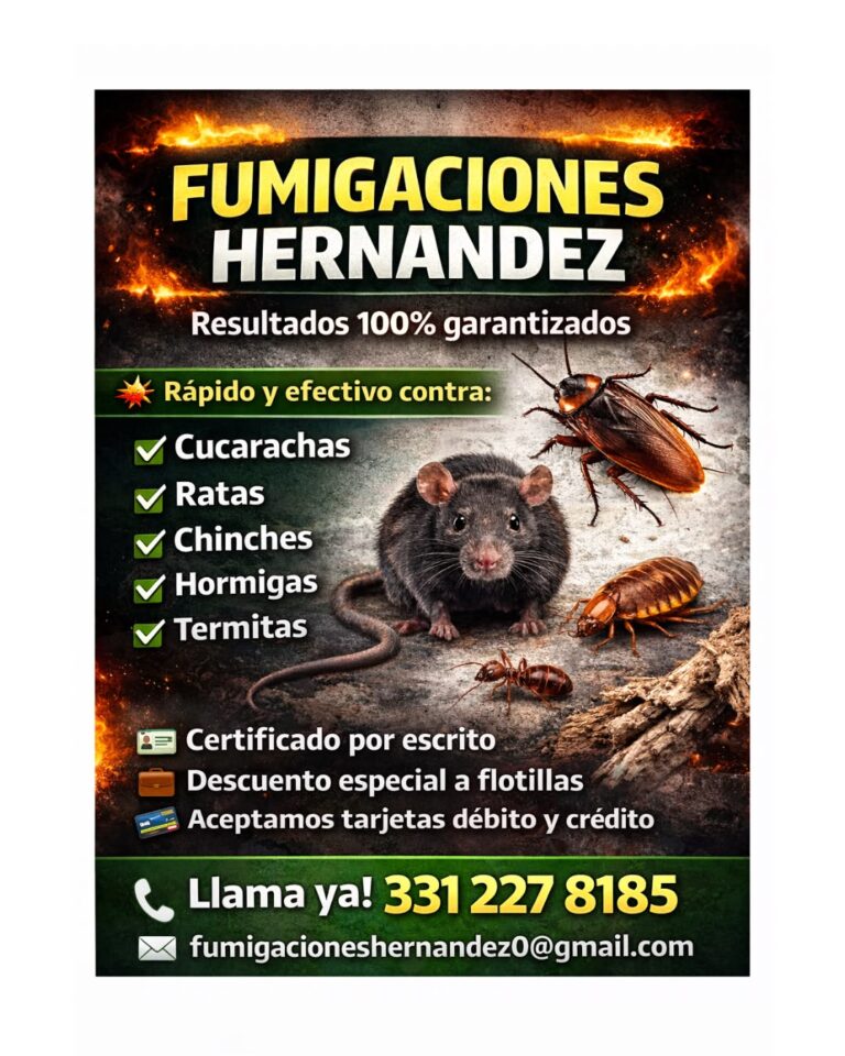 f55ac4d7 f777 4dfd 8560 00f34dd9aa7e 768x960